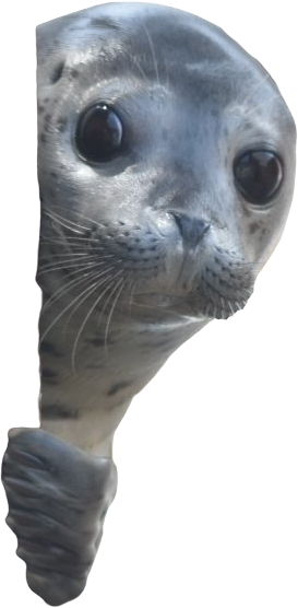 Peeking Seal